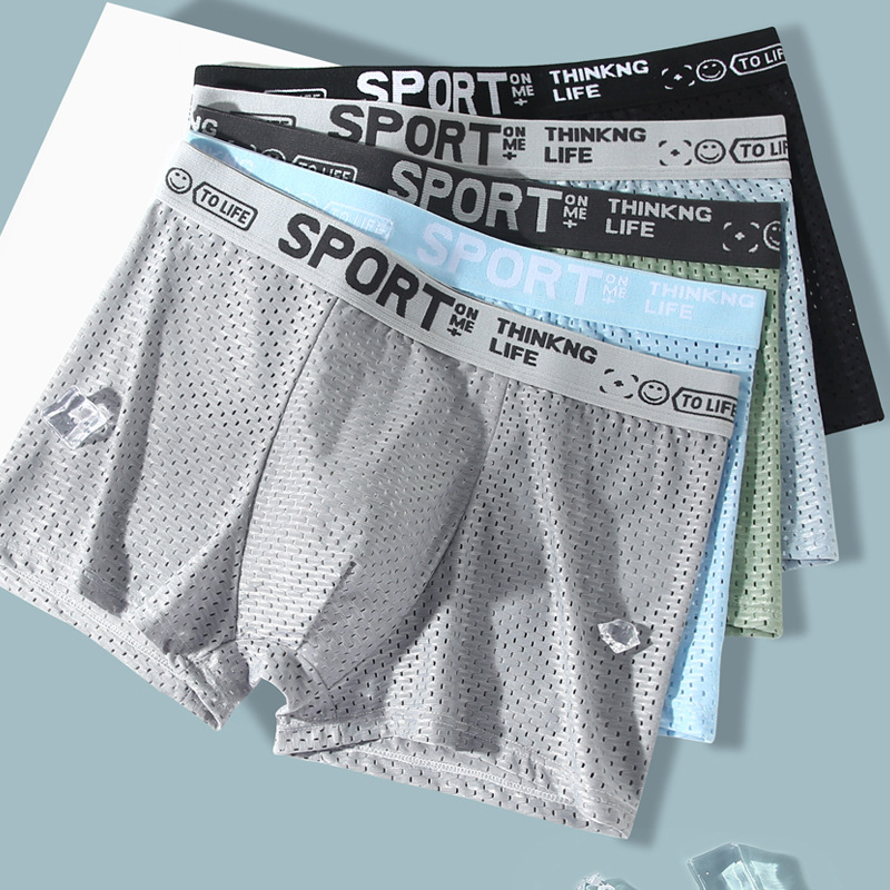 5pcs Men's Sexy Ice Silk Mesh  - Mesh Sport Boxer 评论和价格